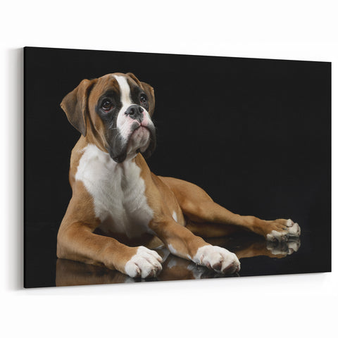 Elegant Boxer Wall Art - Cute Boxer Print - Timeless Dog Canvas Decor