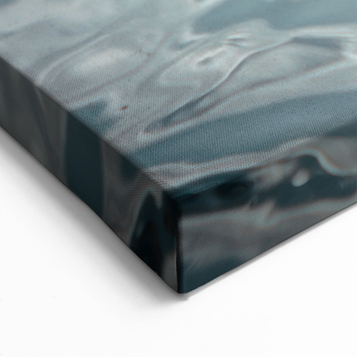 Moody Duck Wall Art - Elegant Duck Canvas Print for Modern Decor