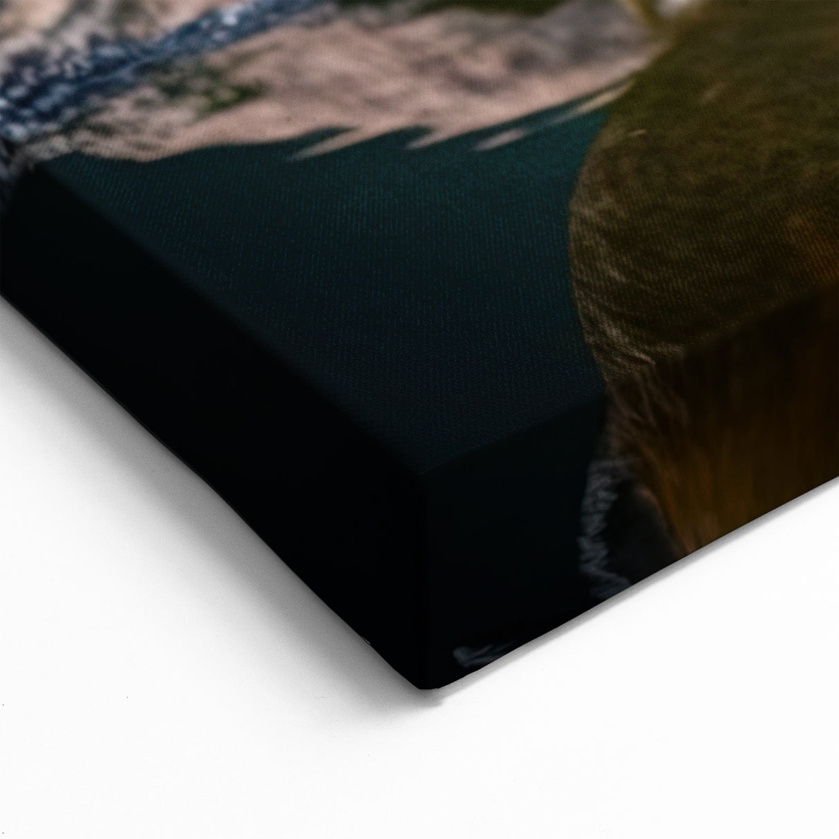 Trio of Ducks Wall Art - Elegant Duck Canvas Print for Nature Decor