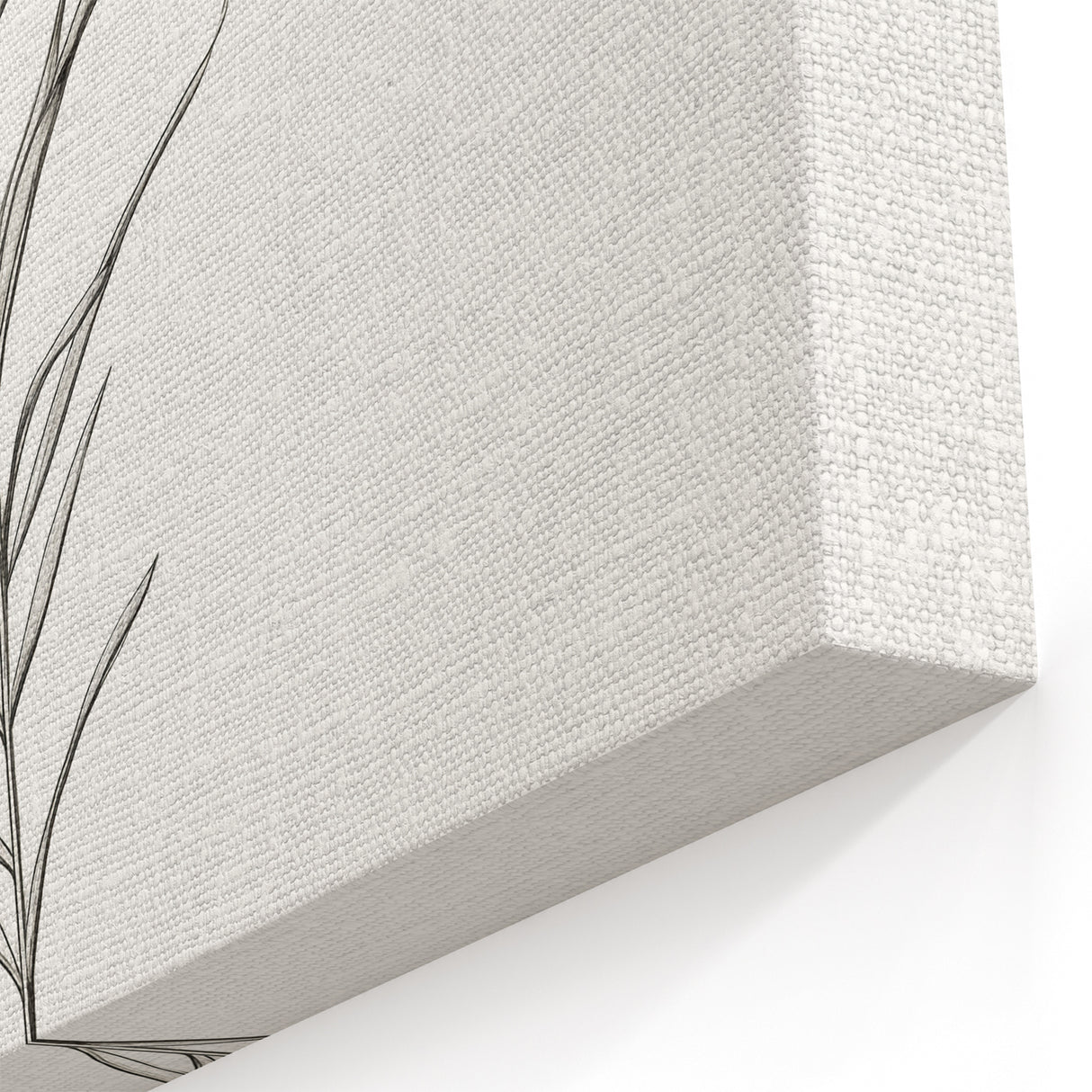 Minimalist Botanical Line Art - Modern Simple Abstract Wall Art Decor