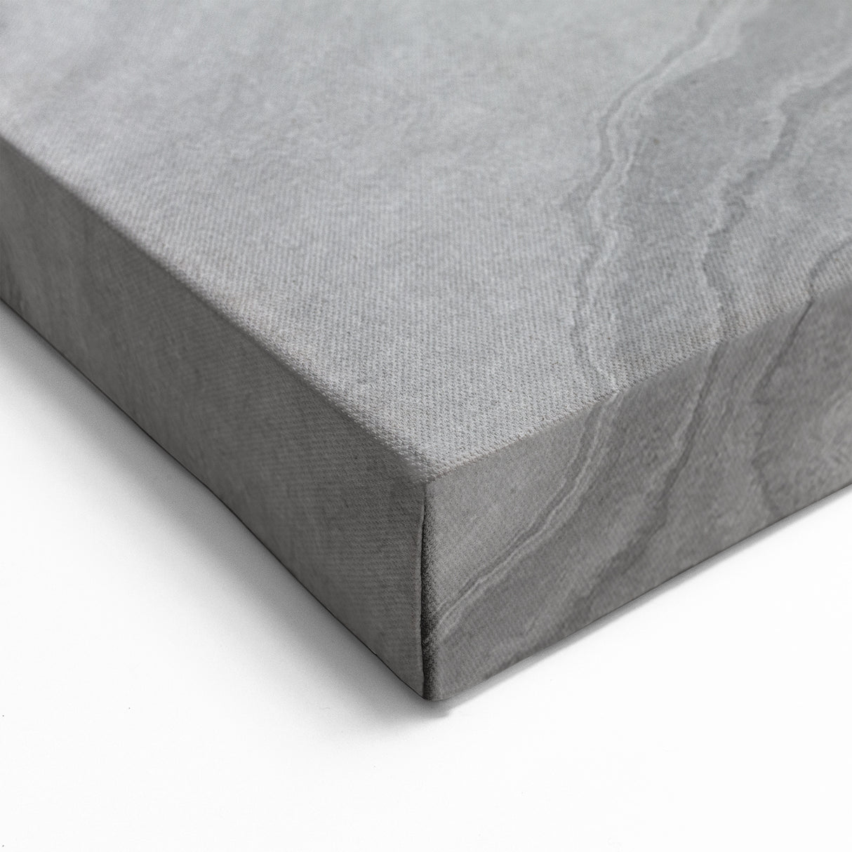 Abstract Tree Rings and Feather Art - Grey and Beige Canvas