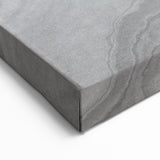 Abstract Tree Rings and Feather Art - Grey and Beige Canvas