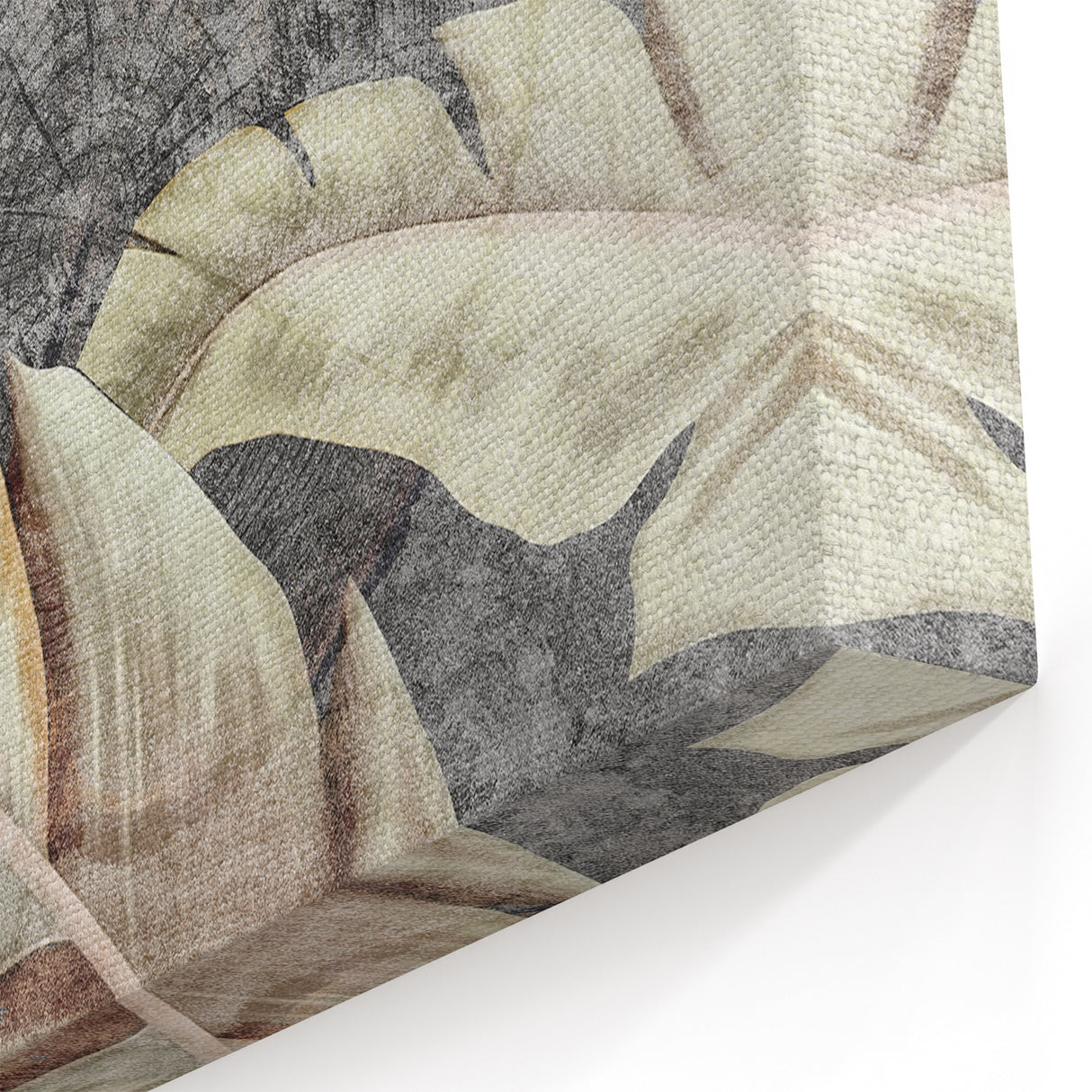 Abstract Tree Rings and Feather Duo - Grey and Beige Canvas Art