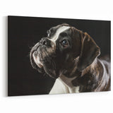 Intense Boxer Wall Art - Detailed Boxer Print - Captivating Dog Canvas