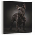 Abstract Floral Bulldog Wall Art - Modern Botanical Canvas Decor