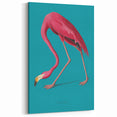 Tropical Flamingo Canvas Art - Elegant Pink Flamingo Wall Decor