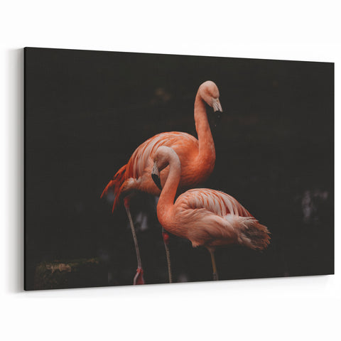 Elegant Flamingo Wall Art - Flamingo Canvas Print for Sophisticated Decor