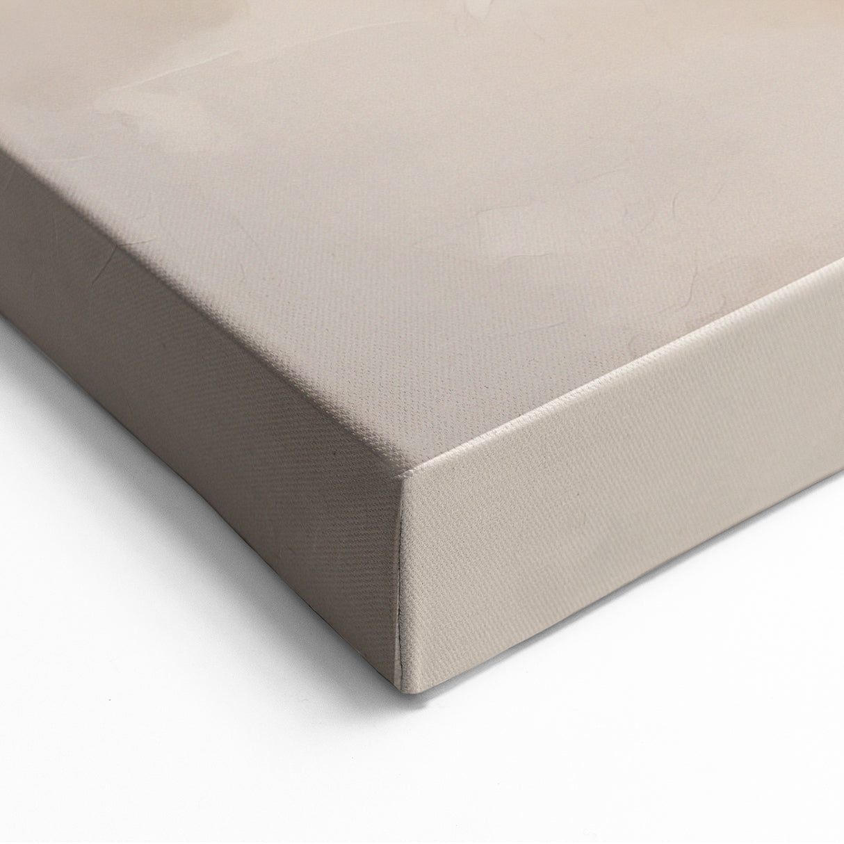 Elegant Minimalist Abstract Flower Art - Modern Geometric Canvas Print