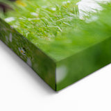 Collie Wall Art - Elegant Collie Canvas Print - Stunning Collie Decor