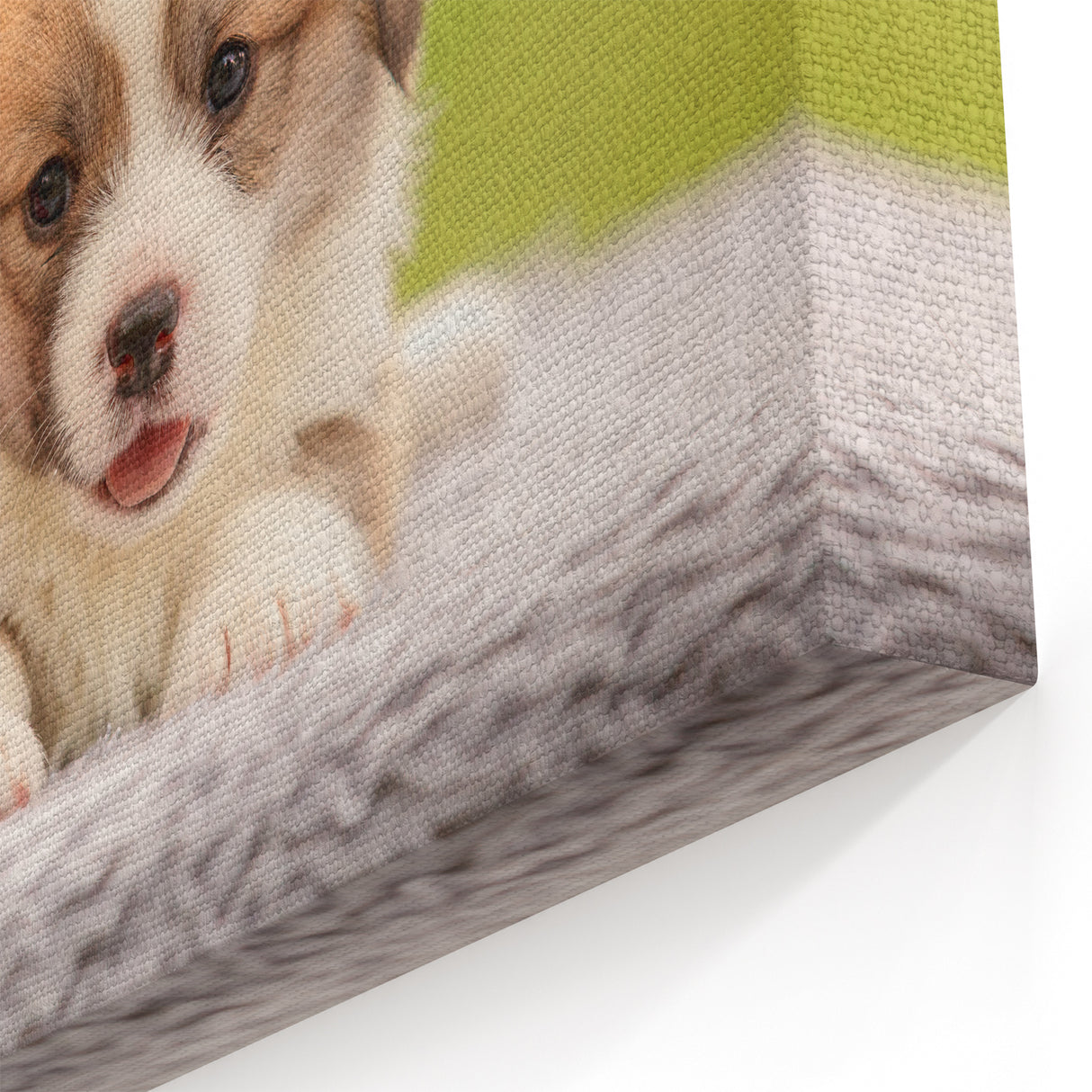 Adorable Corgi Wall Art - Corgi Canvas Print - Cute Corgi Decor