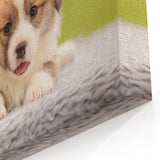Adorable Corgi Wall Art - Corgi Canvas Print - Cute Corgi Decor