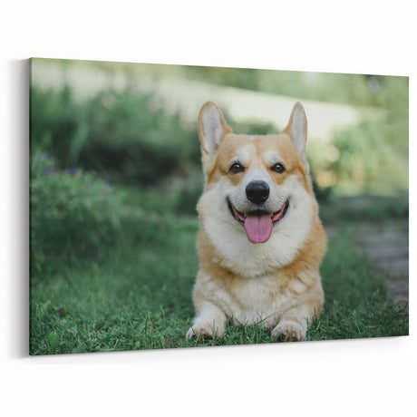Smiling Corgi Wall Art - Corgi Canvas Print - Cheerful Corgi Decor