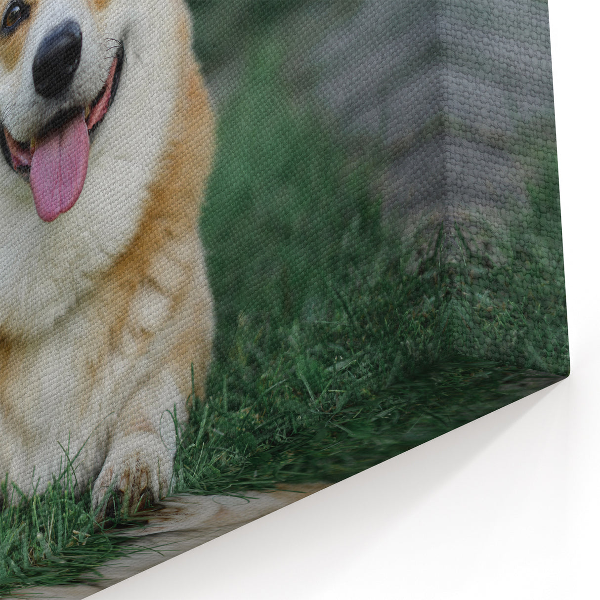 Smiling Corgi Wall Art - Corgi Canvas Print - Cheerful Corgi Decor