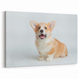 Joyful Corgi Wall Art - Corgi Canvas Print - Happy Corgi Decor
