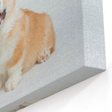Joyful Corgi Wall Art - Corgi Canvas Print - Happy Corgi Decor