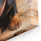 Adorable Dachshund Wall Art - Premium Canvas Print for Dog Lovers