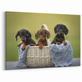 Charming Dachshund Trio Wall Art - Canvas Print for Pet Lovers