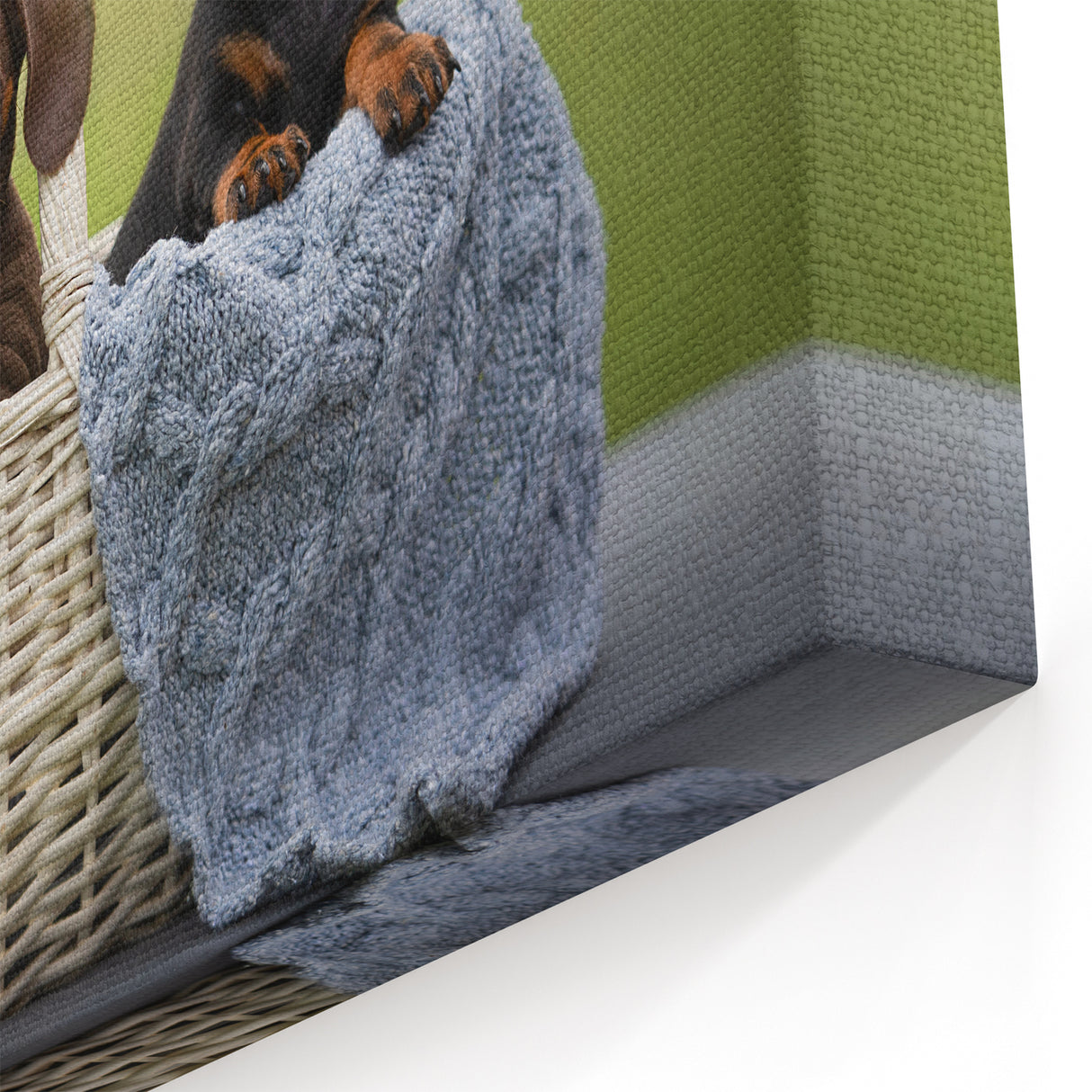 Charming Dachshund Trio Wall Art - Canvas Print for Pet Lovers