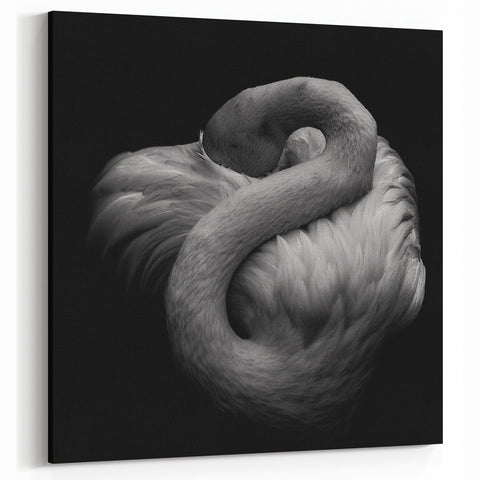 Black and White Flamingo Wall Art - Minimalist Flamingo Canvas Print