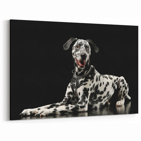 Dalmatian Wall Art - Dalmatian Canvas Print - Elegant Dalmatian Decor