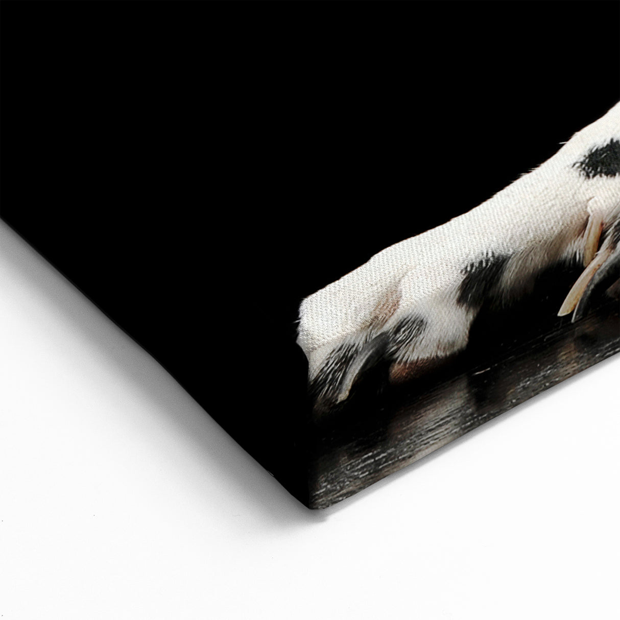 Dalmatian Wall Art - Dalmatian Canvas Print - Elegant Dalmatian Decor