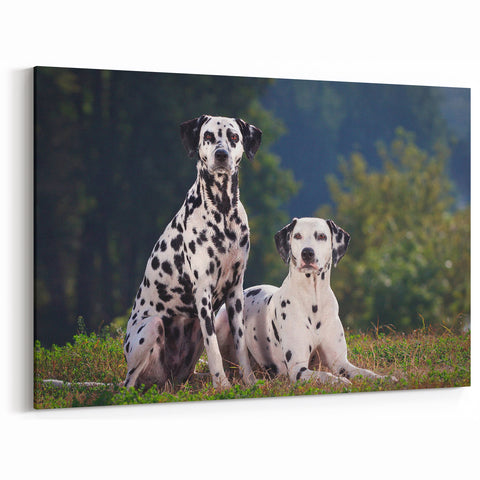 Dalmatian Wall Art - Stunning Dalmatian Canvas Print for Elegant Home Decor
