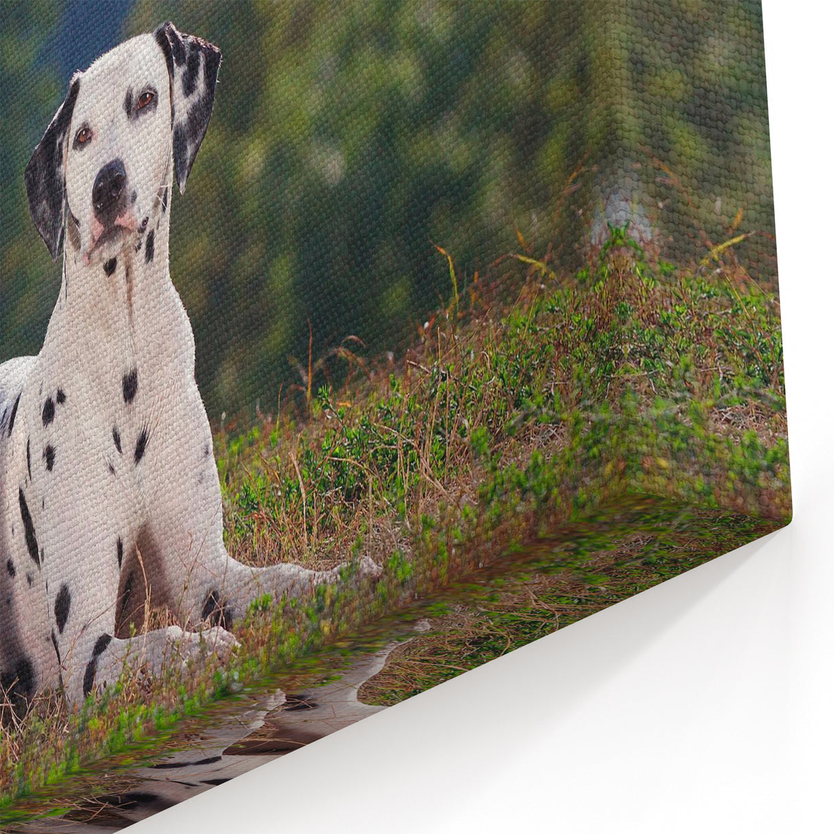 Dalmatian Wall Art - Stunning Dalmatian Canvas Print for Elegant Home Decor