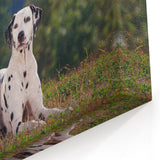 Dalmatian Wall Art - Stunning Dalmatian Canvas Print for Elegant Home Decor