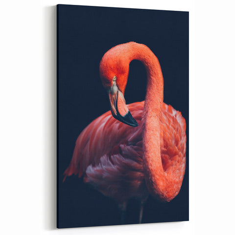 Graceful Flamingo Portrait - Vibrant Flamingo Wall Art
