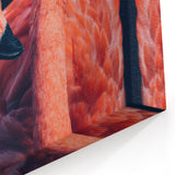 Graceful Flamingo Portrait - Vibrant Flamingo Wall Art