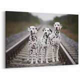 Dalmatian Canvas Print - Elegant Dalmatian Art for Modern Home Decor