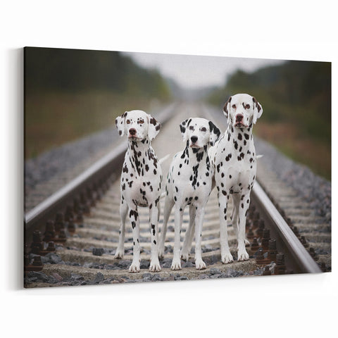 Dalmatian Canvas Print - Elegant Dalmatian Art for Modern Home Decor