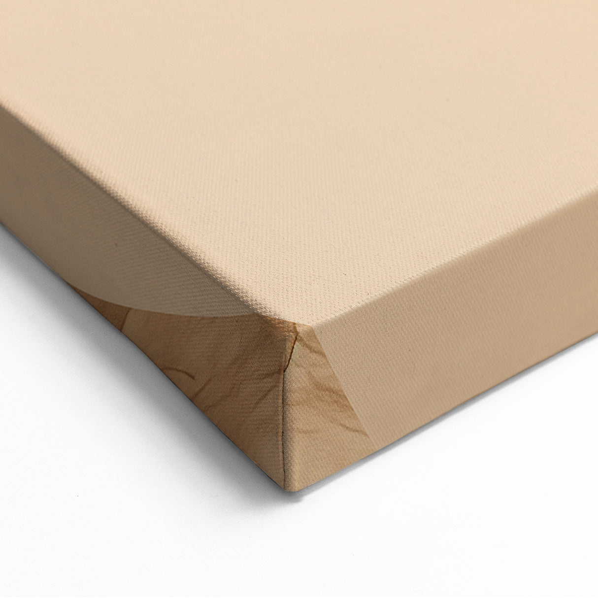 Minimalist Abstract Silhouette Art - Modern Beige Canvas Decor