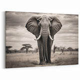 Majestic Elephant in the Wild - Timeless Black and White Canvas Art