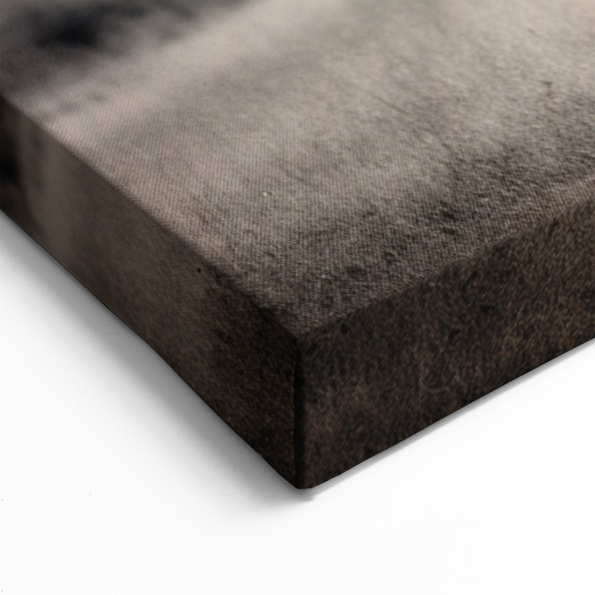 Majestic Elephant in the Wild - Timeless Black and White Canvas Art