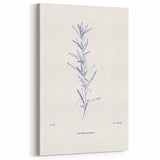 Minimalist Botanical Art Print - Modern Simple Blue Line Canvas Design