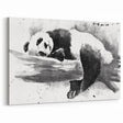 Panda Bear Art - Panda Canvas Prints - Resting Giant Panda Illustration