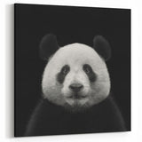 Panda Photography - Giant Panda Wall Art - Black and White Panda Art