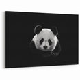 Black and White Panda Art - Panda Bear Photography - Giant Panda Wall Art
