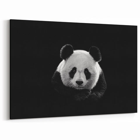 Black and White Panda Art - Panda Bear Photography - Giant Panda Wall Art