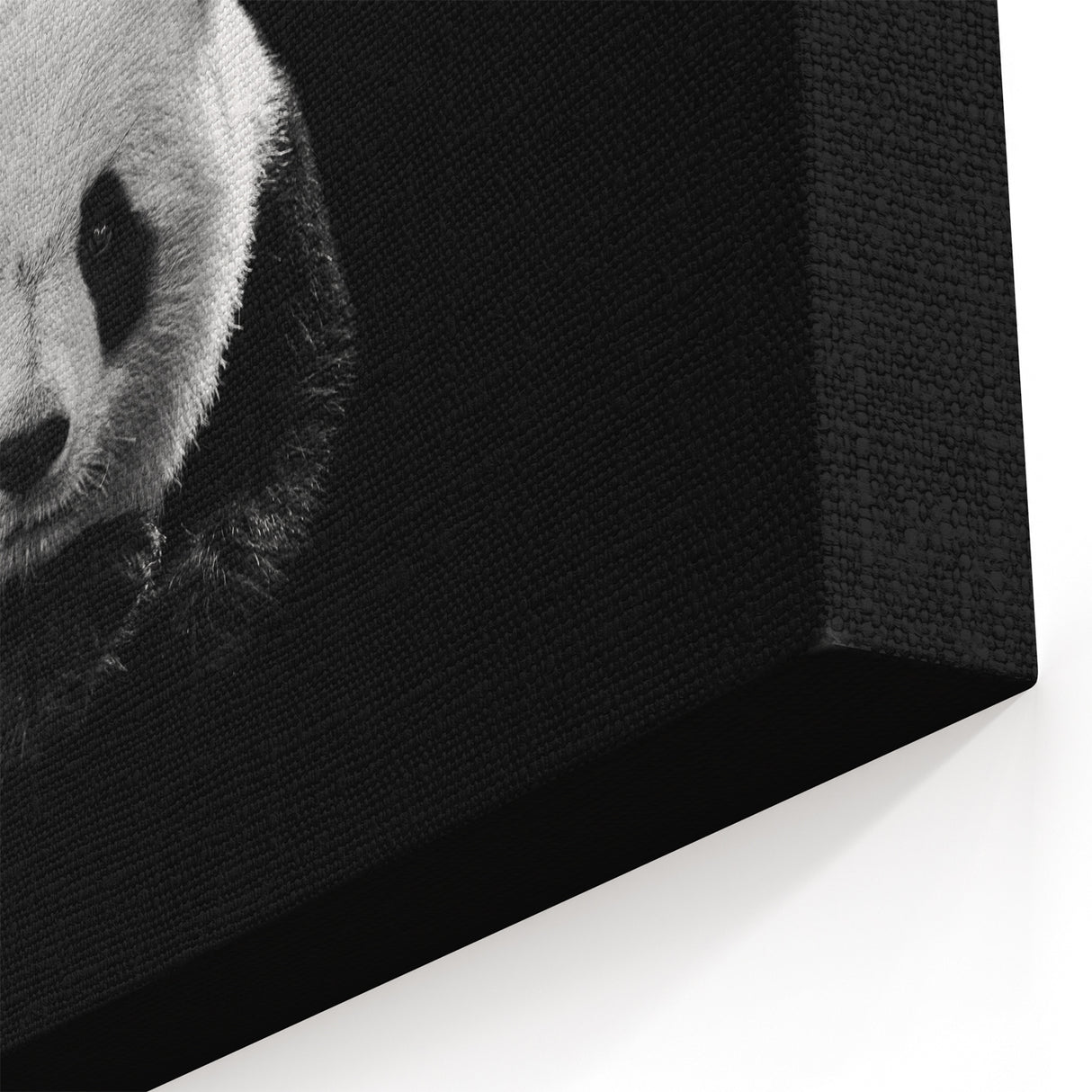Black and White Panda Art - Panda Bear Photography - Giant Panda Wall Art