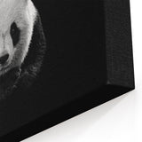 Black and White Panda Art - Panda Bear Photography - Giant Panda Wall Art