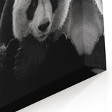 Elegant Panda Wall Art - Panda Bear Photography - Giant Panda Canvas