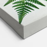 Monochrome Garden Birds Wall Art - Black and White Bird Canvas Decor