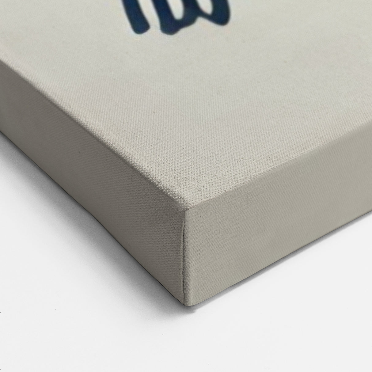 Minimalist Garden Birds Wall Art - Simple Bird Line Art Canvas Decor