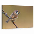 Realistic Garden Birds Wall Art - Sparrow on Branch Canvas Print Decor