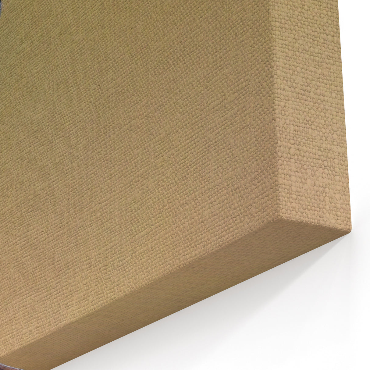 Realistic Garden Birds Wall Art - Sparrow on Branch Canvas Print Decor