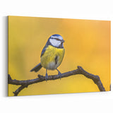 Vibrant Garden Birds Wall Art - Blue and Yellow Bird Canvas Decor