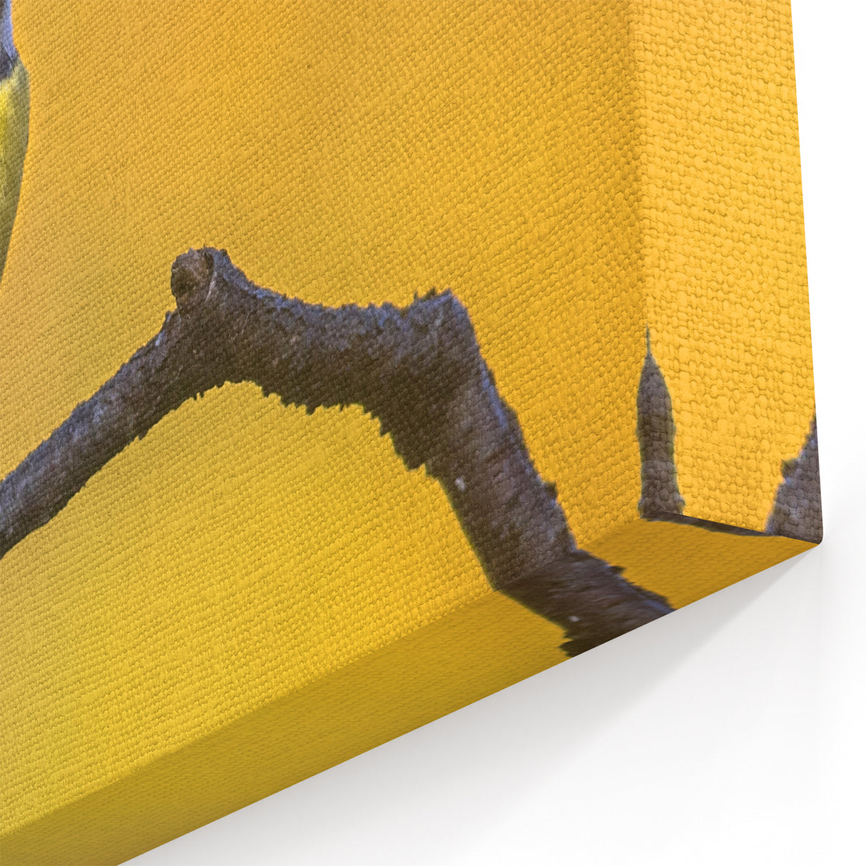 Vibrant Garden Birds Wall Art - Blue and Yellow Bird Canvas Decor