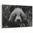 Serene Black and White Panda Canvas Print - Panda Photography